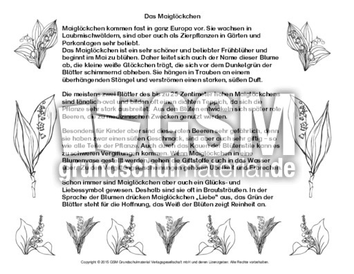 Abschreibtext-Maiglöckchen-SW.pdf